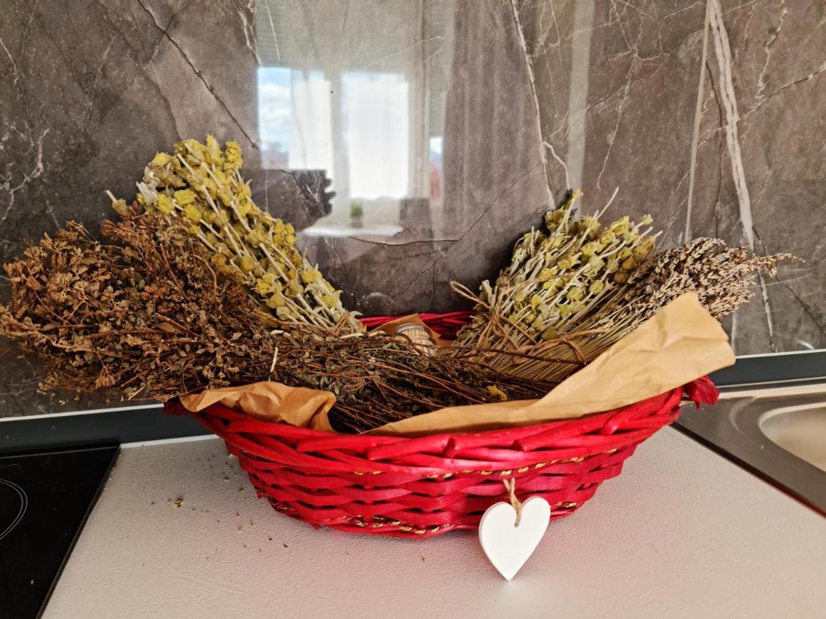 Lovely One Bedroom Studio In Tirana Kültér fotó